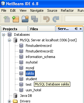 Sakila database is visible in the NetBeans