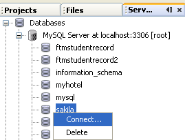 Connecting to sakila database from NetBeans IDE