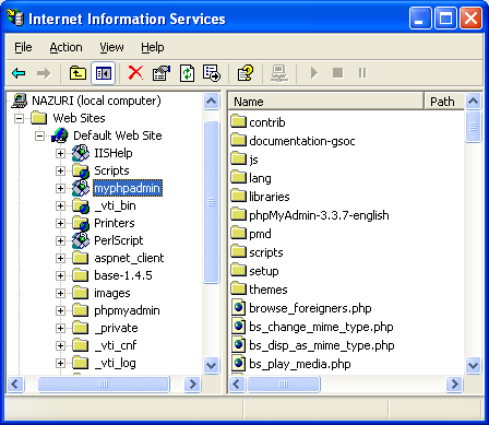 The IIS virtual directory seen through IIS snap in