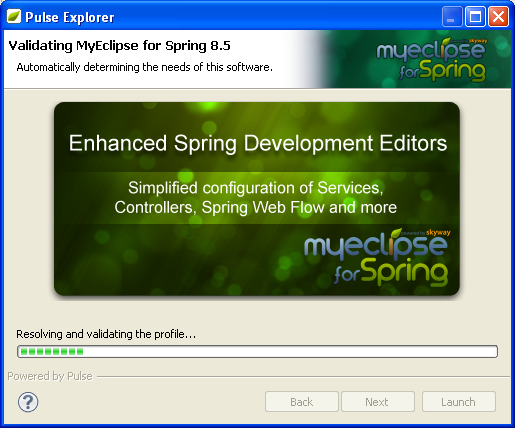 Eclipse and MyEclipse IDE: MyEclipse Pulse Explorer