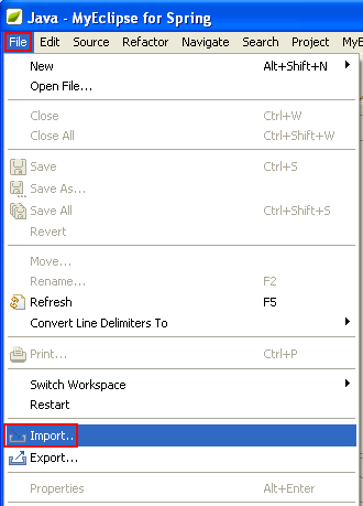 Eclipse and MyEclipse IDE: Invoking the File > Import menu