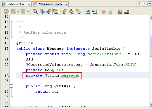 NetBeans IDE: selecting the Java web application project, adding object variables