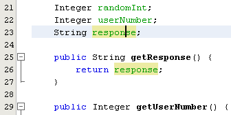 The generated Getter method