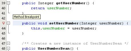 Setting the breakpoint from NetBeans IDE