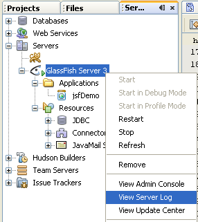 Invoking the GlassFish server log