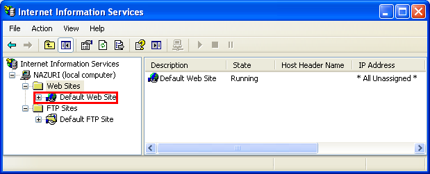 The IIS default web site