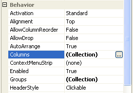 Setting up columns to display the data using Columns property