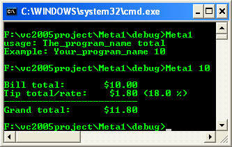 Console::WriteLine program output example
