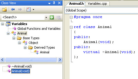Class default constructor